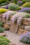 ŠATÉR PLAZIVÝ - GYPSOPHILA REPENS KNUDDEL