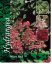 HORTEZIE LATNATÁ - HYDRANGEA PAN. "WIMS RED"