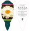 KOPRETINA LEUCANTHEMUM x SUPER. VICTORIAN SECRET