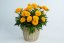 KRÁSNOOČKO - COREOPSIS GRAN. SOLANNA GOLDEN SPHERE