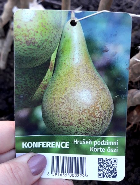 HRUŠEŇ - KONFERENCE - PODZIMNÍ