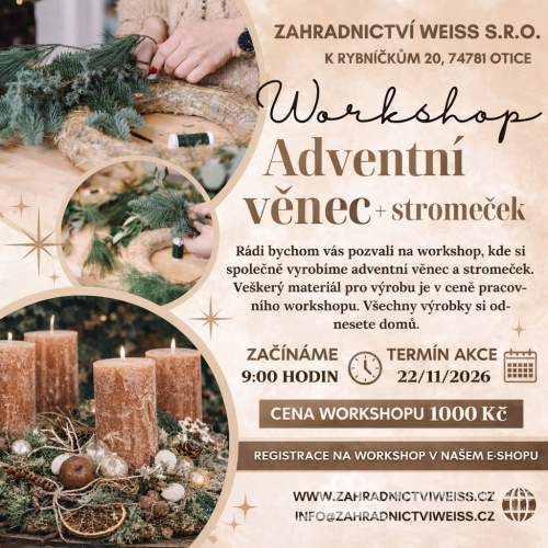 WORKSHOP - ADVENTNÍ VĚNEC + STROMEČEK