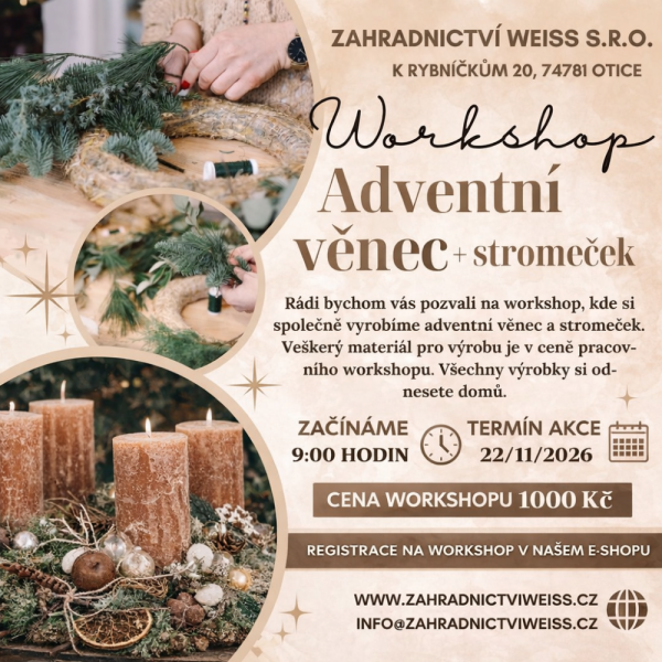 WORKSHOP - ADVENTNÍ VĚNEC + STROMEČEK