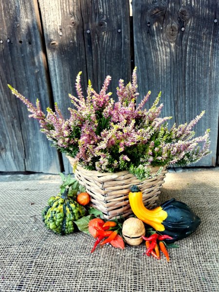 VŘES RŮŽOVO-ŽLUTÝ