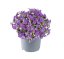 TAŘIČKA - AUBRIETA GRACILIS AUDREY MID BLUE F1
