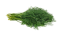 KOPR