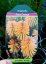 KLEOPATŘINA JEHLA - KNIPHOFIA "POCO ORANGE"