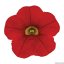 MILLION BELLS METRO EARLY BRIGHT RED