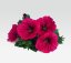 PETÚNIE - PETUNIA POTUNIA NEON