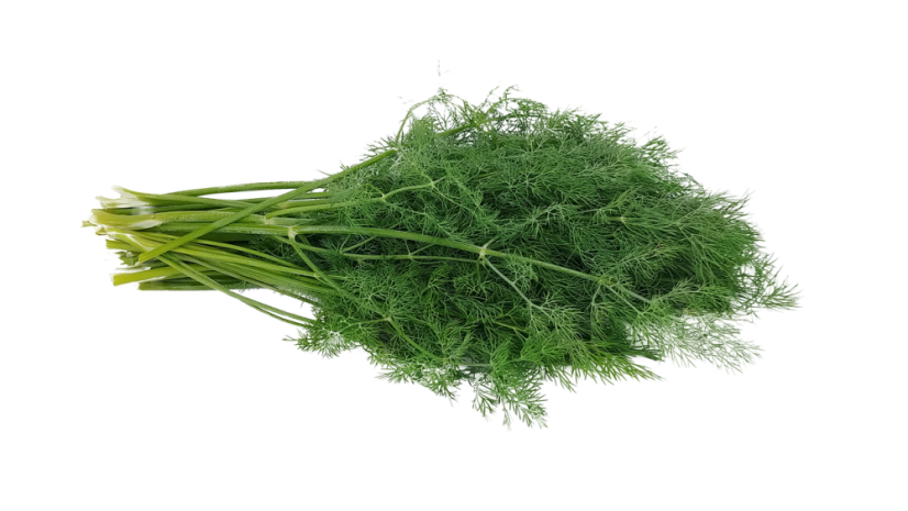 KOPR