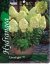 HORTEZIE LATNATÁ - HYDRANGEA PAN. "LIMELIGHT"