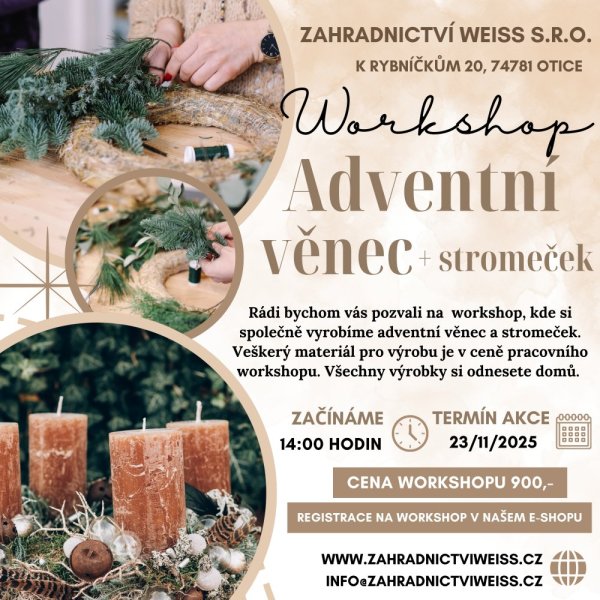 WORKSHOP - ADVENTNÍ VĚNEC + STROMEČEK