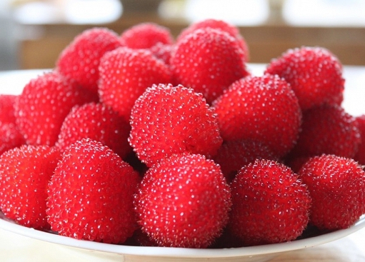 OSTRUŽINÍK JAHODNATÝ - RUBUS ILLECEBROSUS - MALINOJAHODA