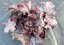 HEUCHERA - "GLITTER"
