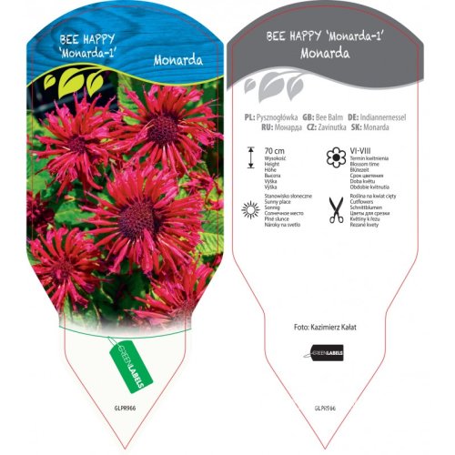 MONARDA HYBRIDA BEE-HAPPY ®