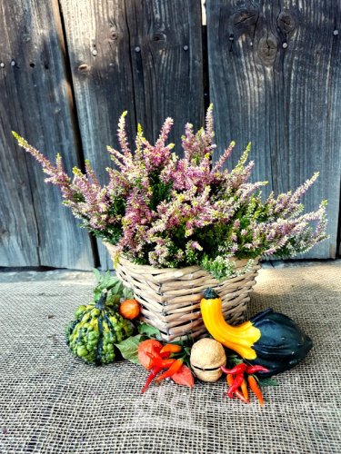 VŘES RŮŽOVO-ŽLUTÝ