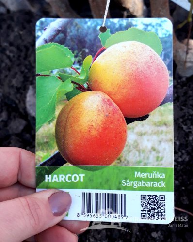 MERUŇKA - HARCOT
