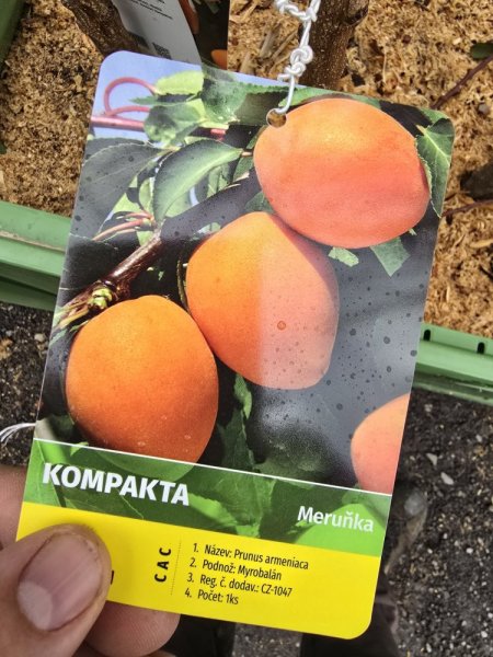 MERUŇKA KOMPAKTA