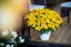 SLUNEČNICE- HELIOPSIS HELIANHOIDES ORIOLE SINGLE YELLOW