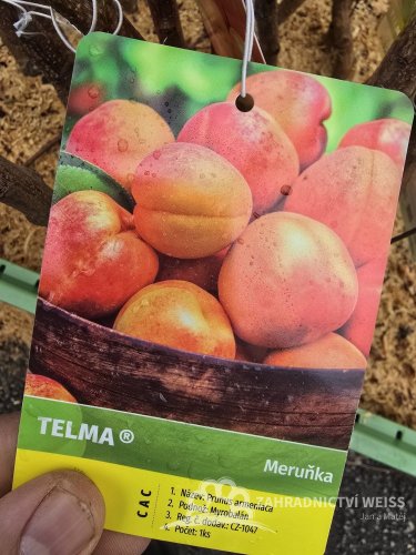 MERUŇKA TELMA