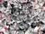 HEUCHERA - "GLITTER"