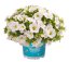 MILLION BELLS BÍLÝ „AL.KONA WHITE“